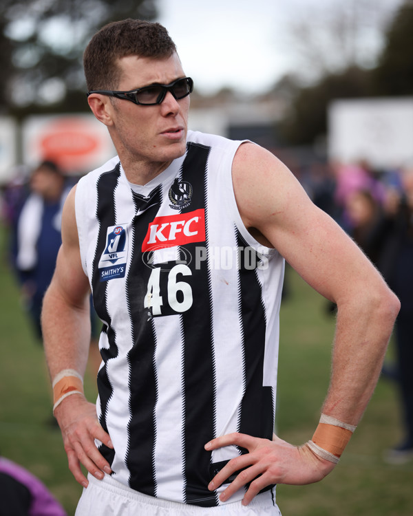 VFL 2025 Round 21 - Port Melbourne v Collingwood - A-61450062