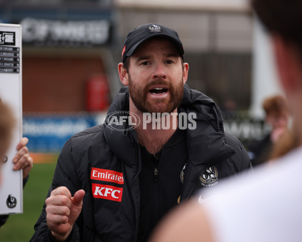 VFL 2025 Round 21 - Port Melbourne v Collingwood - A-61450063