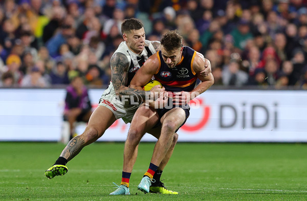 AFL 2025 Round 23 - Adelaide v Collingwood - A-61450099