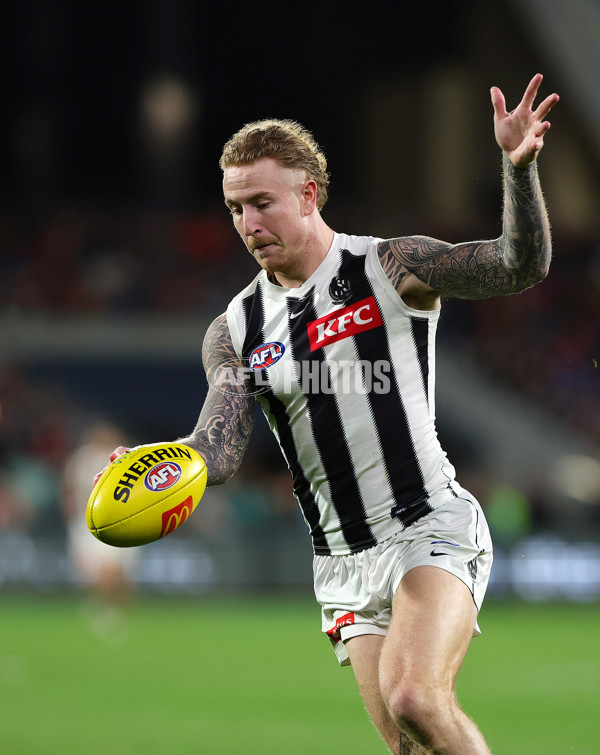AFL 2025 Round 23 - Adelaide v Collingwood - A-61450103