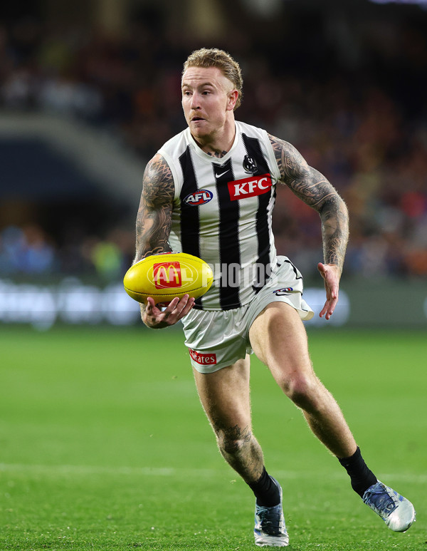 AFL 2025 Round 23 - Adelaide v Collingwood - A-61450105