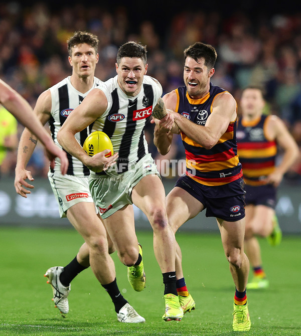 AFL 2025 Round 23 - Adelaide v Collingwood - A-61450107