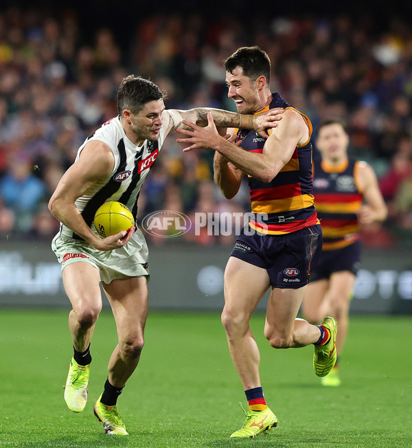 AFL 2025 Round 23 - Adelaide v Collingwood - A-61450108