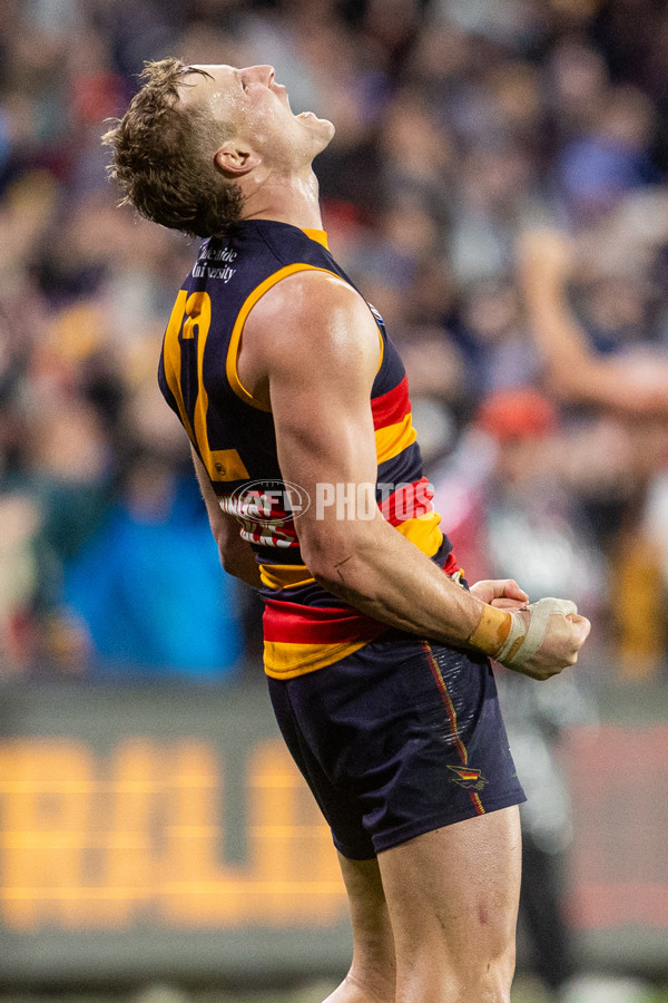 AFL 2025 Round 23 - Adelaide v Collingwood - A-61450325