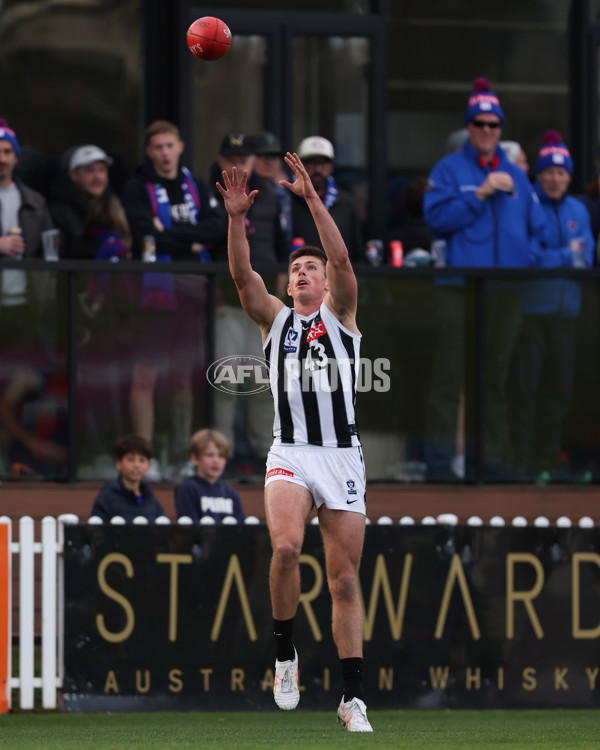 VFL 2025 Round 21 - Port Melbourne v Collingwood - A-61450342