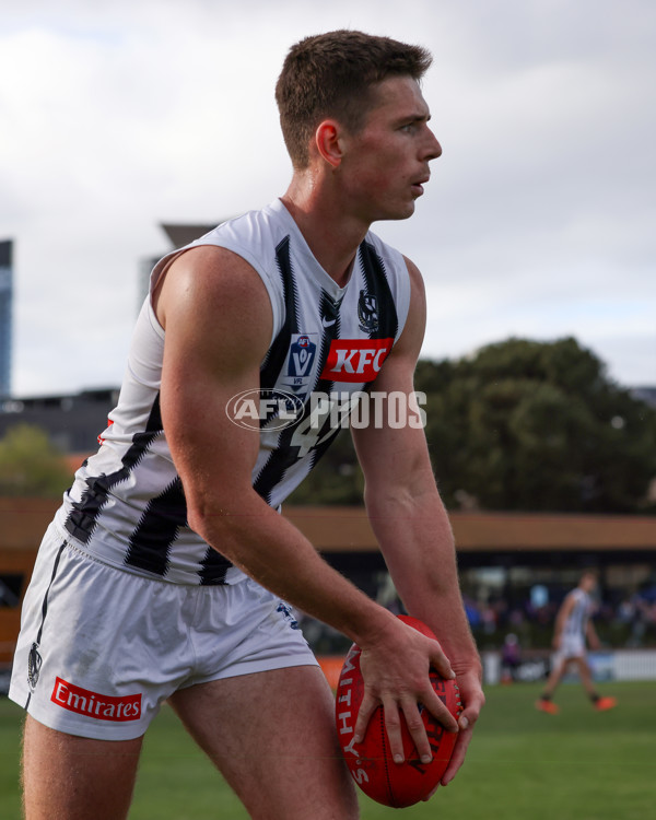 VFL 2025 Round 21 - Port Melbourne v Collingwood - A-61450343