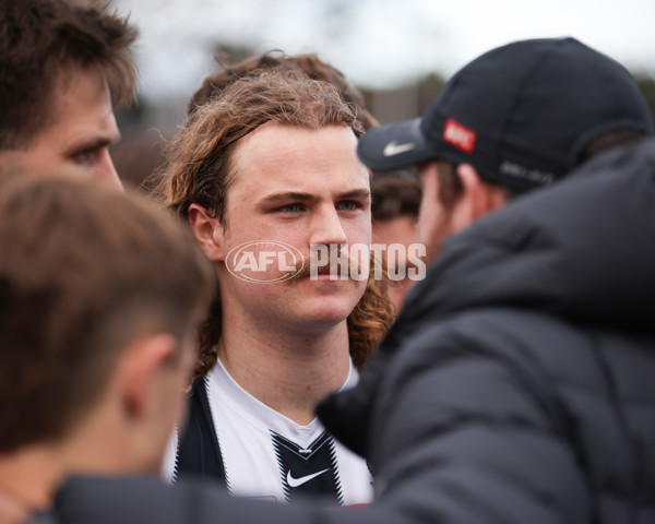 VFL 2025 Round 21 - Port Melbourne v Collingwood - A-61450348