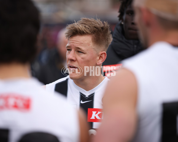 VFL 2025 Round 21 - Port Melbourne v Collingwood - A-61450351