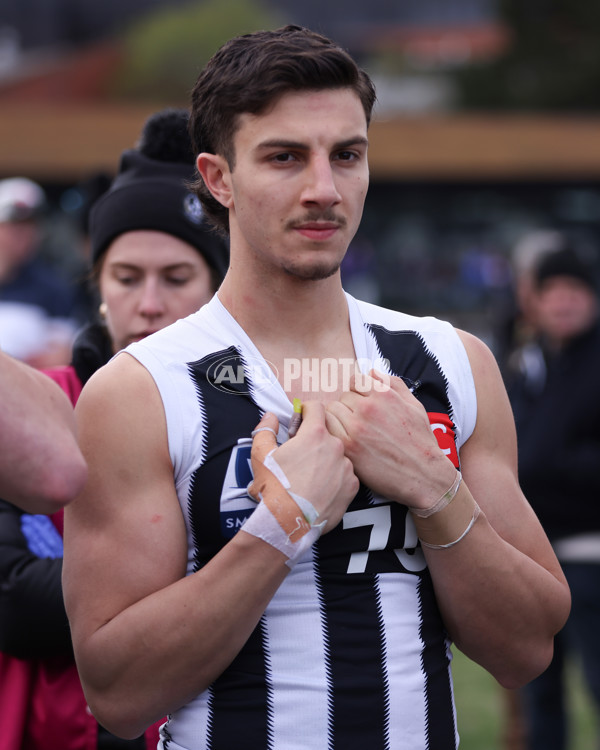 VFL 2025 Round 21 - Port Melbourne v Collingwood - A-61450352