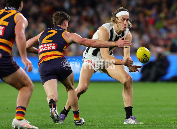 AFL 2025 Round 23 - Adelaide v Collingwood - A-61452453