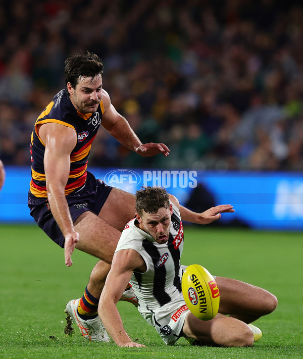 AFL 2025 Round 23 - Adelaide v Collingwood - A-61452457