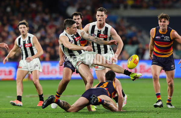 AFL 2025 Round 23 - Adelaide v Collingwood - A-61452466