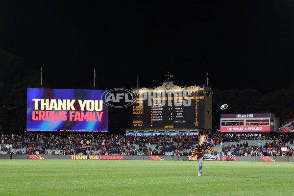 AFL 2025 Round 23 - Adelaide v Collingwood - A-61452479