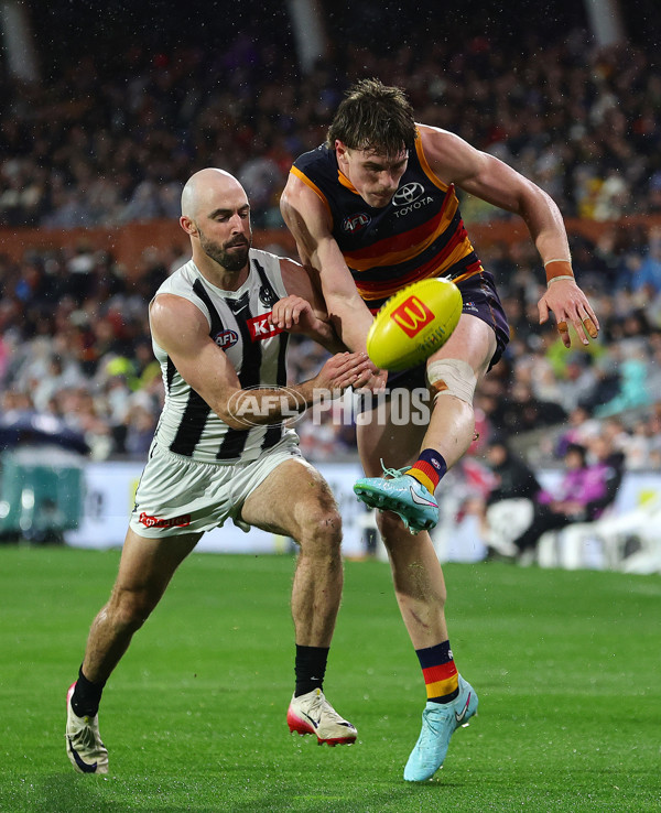 AFL 2025 Round 23 - Adelaide v Collingwood - A-61452481