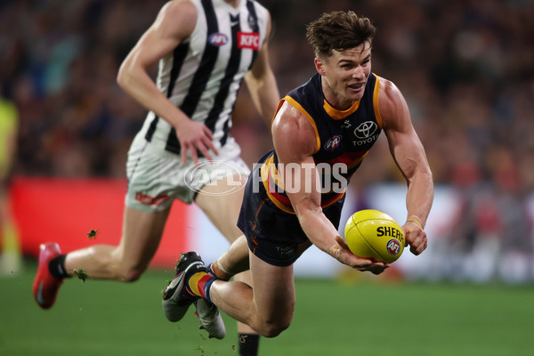 AFL 2025 Round 23 - Adelaide v Collingwood - A-61452488