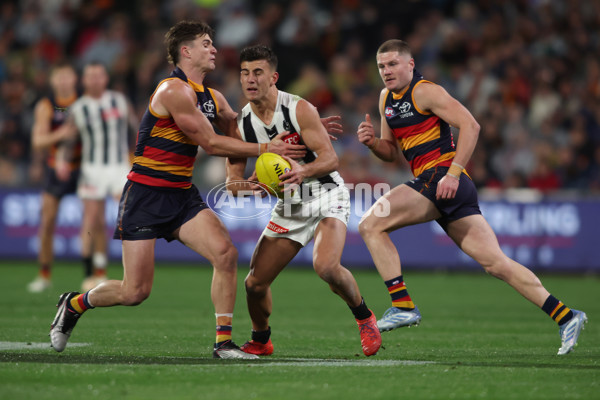 AFL 2025 Round 23 - Adelaide v Collingwood - A-61452490