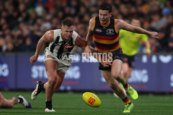 AFL 2025 Round 23 - Adelaide v Collingwood - A-61452491