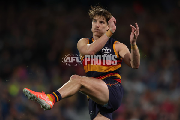 AFL 2025 Round 23 - Adelaide v Collingwood - A-61452492