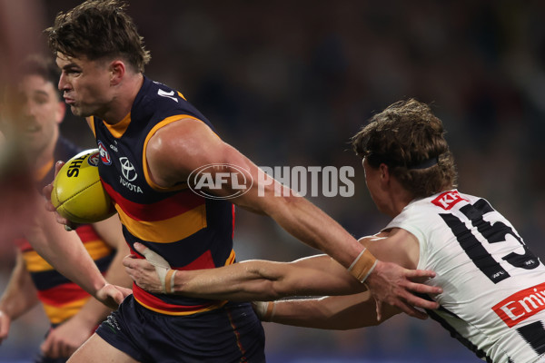 AFL 2025 Round 23 - Adelaide v Collingwood - A-61452496