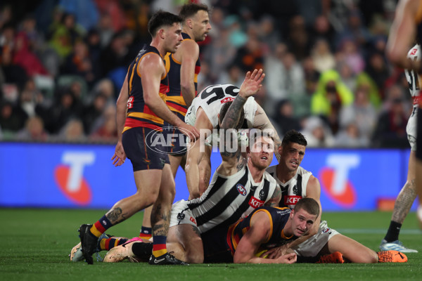 AFL 2025 Round 23 - Adelaide v Collingwood - A-61452509