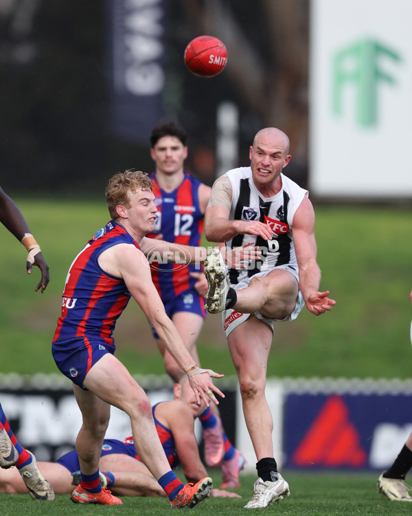 VFL 2025 Round 21 - Port Melbourne v Collingwood - A-61452514