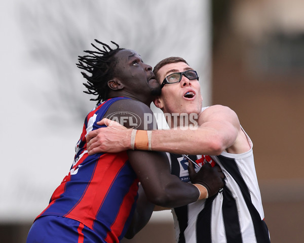 VFL 2025 Round 21 - Port Melbourne v Collingwood - A-61452517