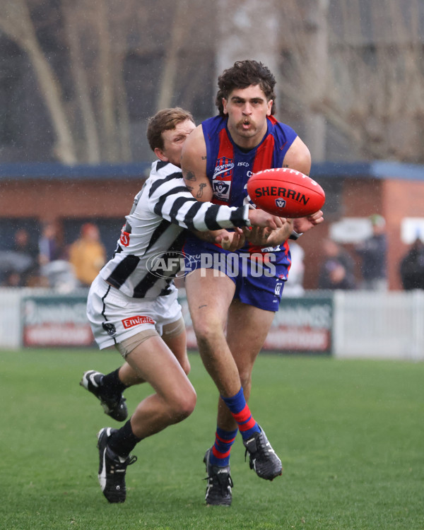 VFL 2025 Round 21 - Port Melbourne v Collingwood - A-61452537