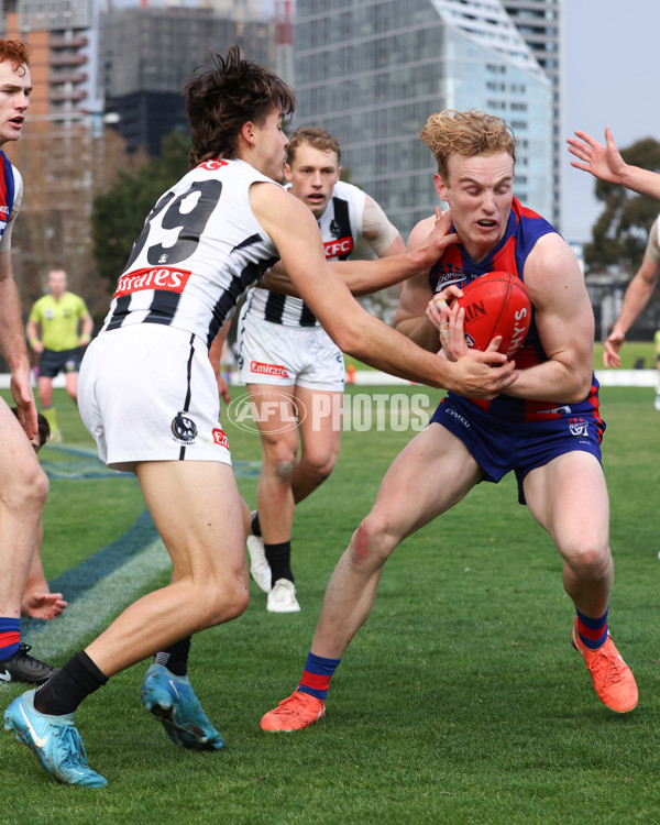 VFL 2025 Round 21 - Port Melbourne v Collingwood - A-61452540
