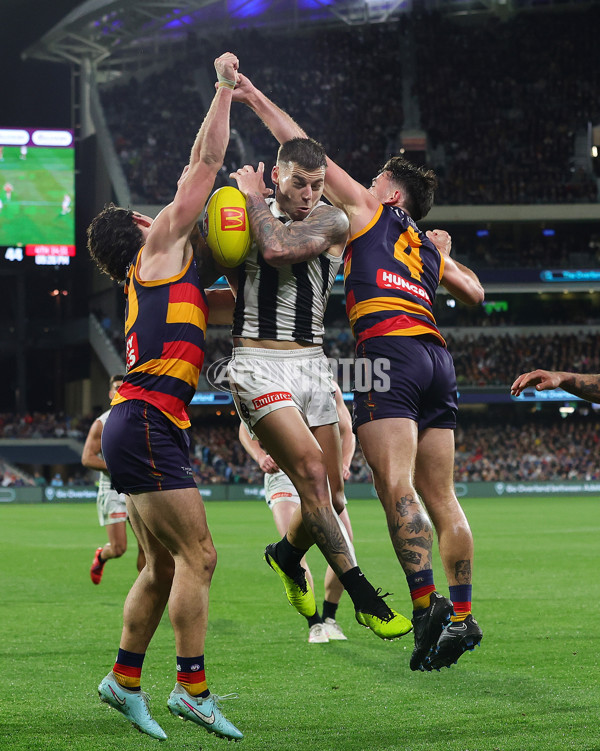 AFL 2025 Round 23 - Adelaide v Collingwood - A-61453150