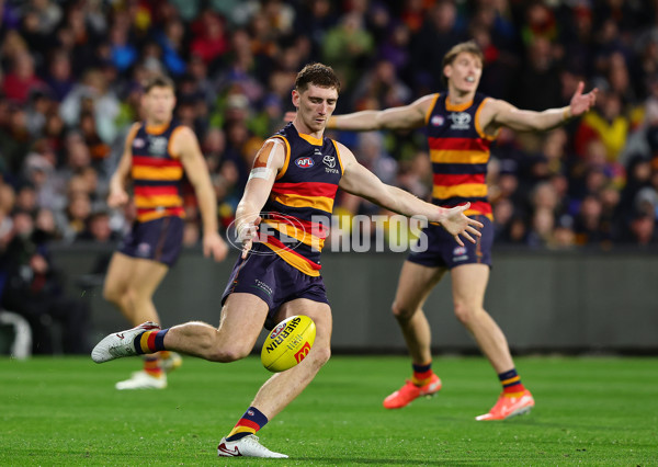 AFL 2025 Round 23 - Adelaide v Collingwood - A-61453153