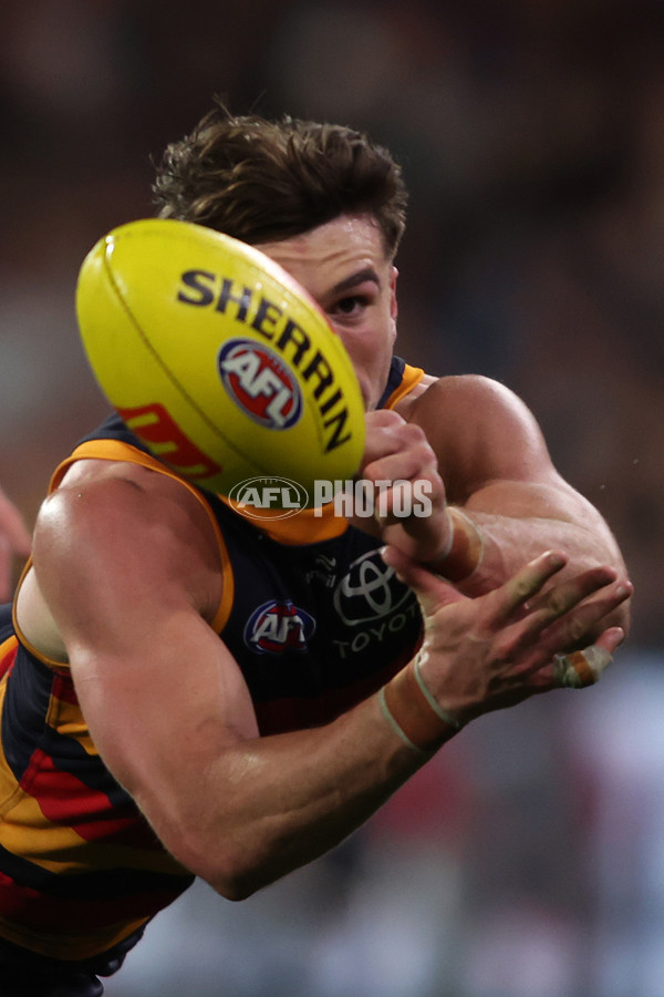 AFL 2025 Round 23 - Adelaide v Collingwood - A-61453171