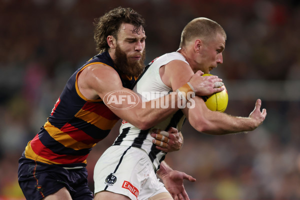 AFL 2025 Round 23 - Adelaide v Collingwood - A-61453172