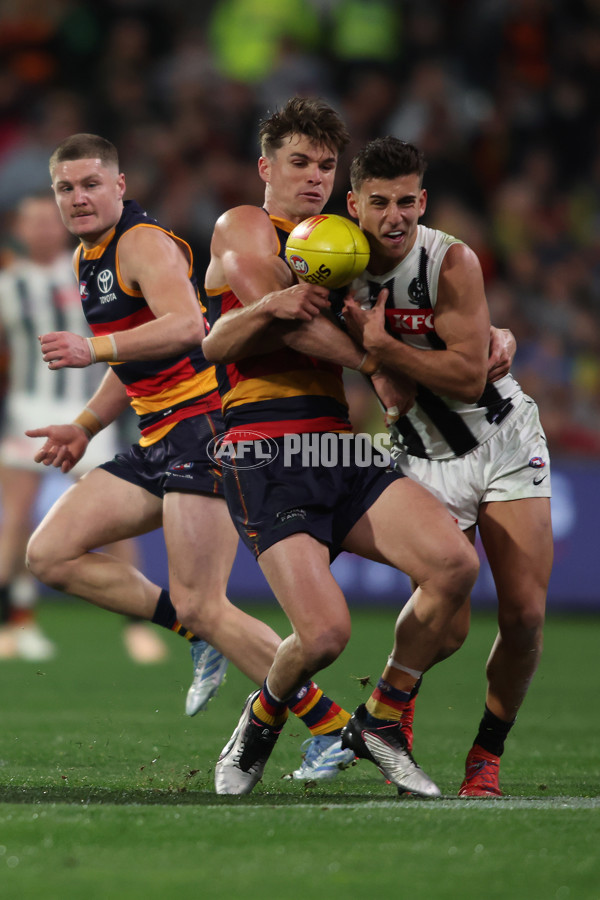 AFL 2025 Round 23 - Adelaide v Collingwood - A-61453175