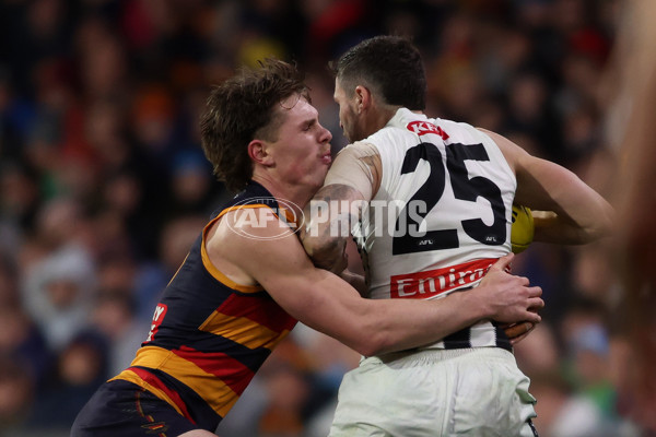 AFL 2025 Round 23 - Adelaide v Collingwood - A-61453176