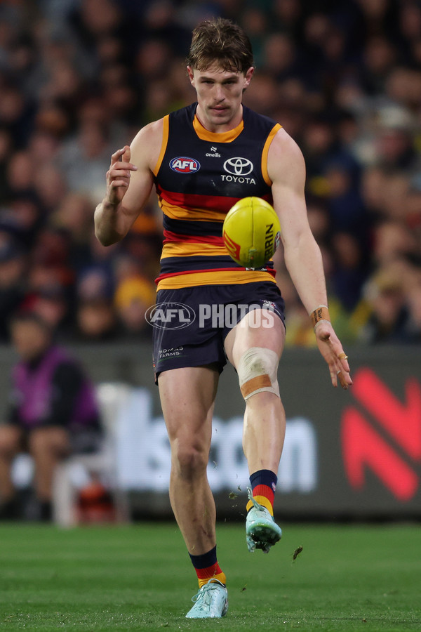 AFL 2025 Round 23 - Adelaide v Collingwood - A-61453177