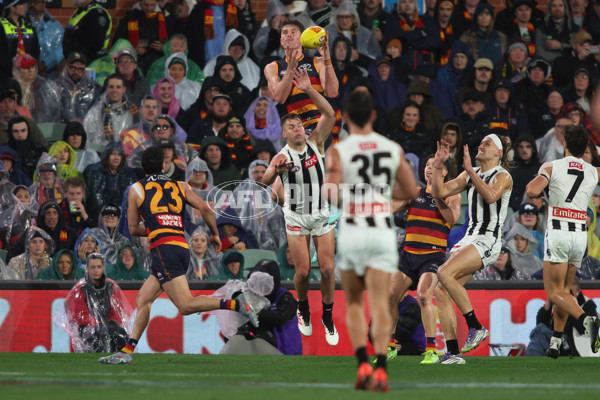 AFL 2025 Round 23 - Adelaide v Collingwood - A-61453188