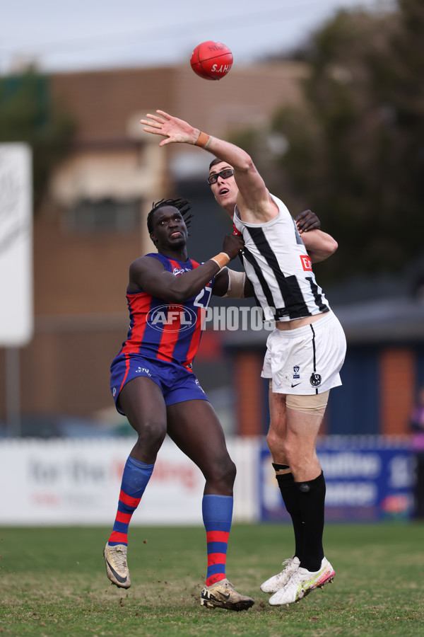 VFL 2025 Round 21 - Port Melbourne v Collingwood - A-61453189