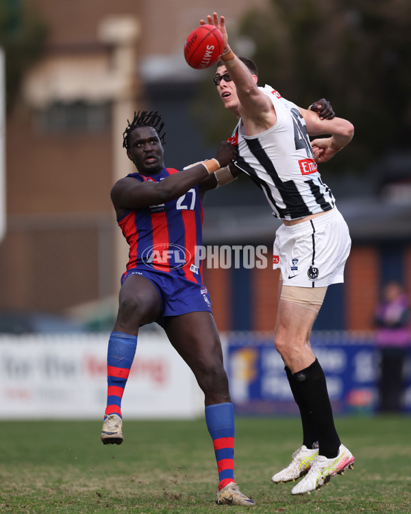 VFL 2025 Round 21 - Port Melbourne v Collingwood - A-61453191