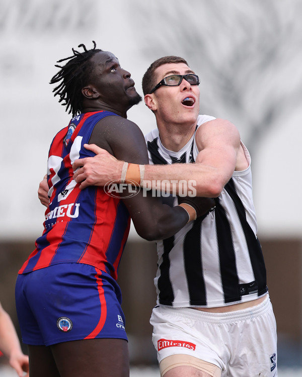 VFL 2025 Round 21 - Port Melbourne v Collingwood - A-61453192