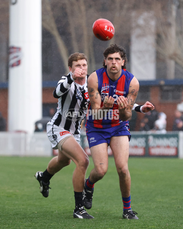 VFL 2025 Round 21 - Port Melbourne v Collingwood - A-61453199