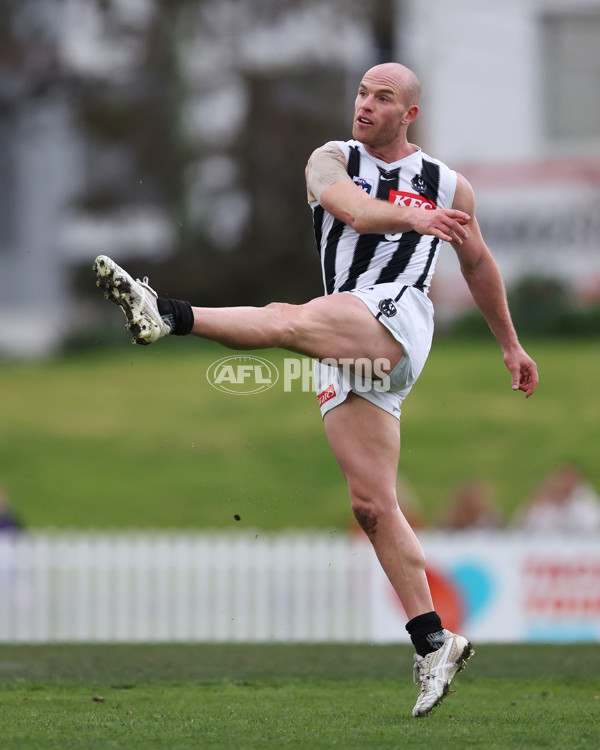 VFL 2025 Round 21 - Port Melbourne v Collingwood - A-61453200