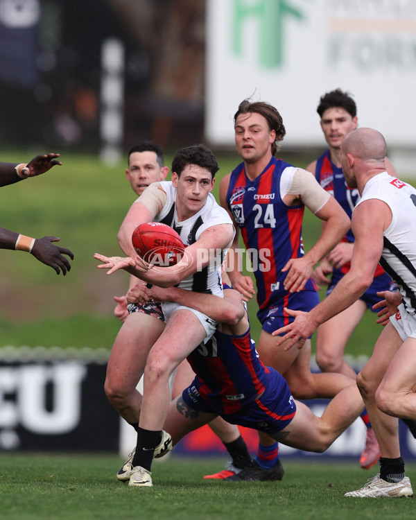 VFL 2025 Round 21 - Port Melbourne v Collingwood - A-61453201