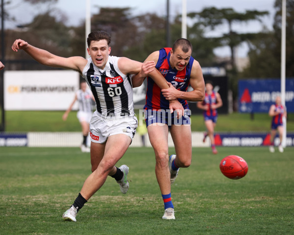 VFL 2025 Round 21 - Port Melbourne v Collingwood - A-61453215