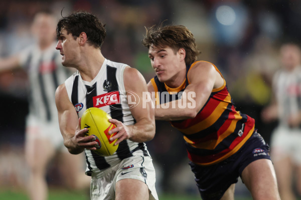 AFL 2025 Round 23 - Adelaide v Collingwood - A-61453231