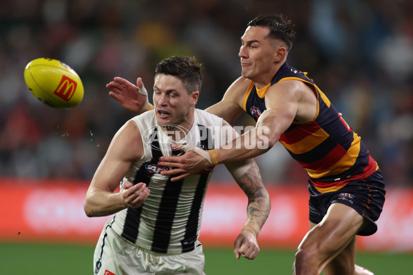 AFL 2025 Round 23 - Adelaide v Collingwood - A-61455384