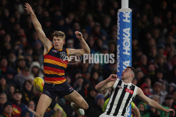 AFL 2025 Round 23 - Adelaide v Collingwood - A-61455385