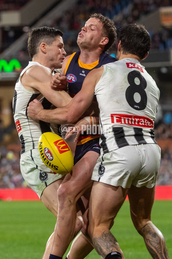 AFL 2025 Round 23 - Adelaide v Collingwood - A-61455399
