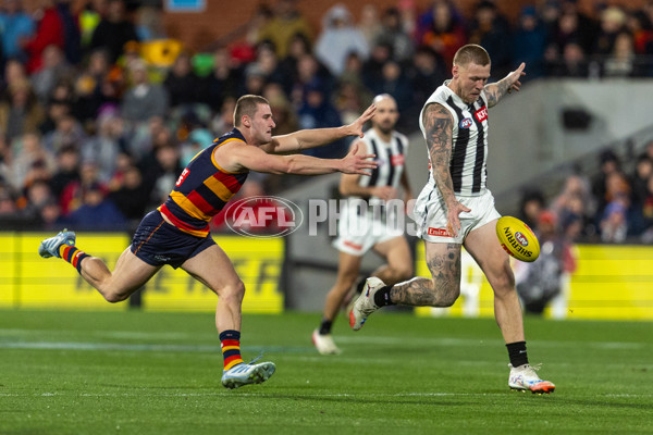 AFL 2025 Round 23 - Adelaide v Collingwood - A-61455414
