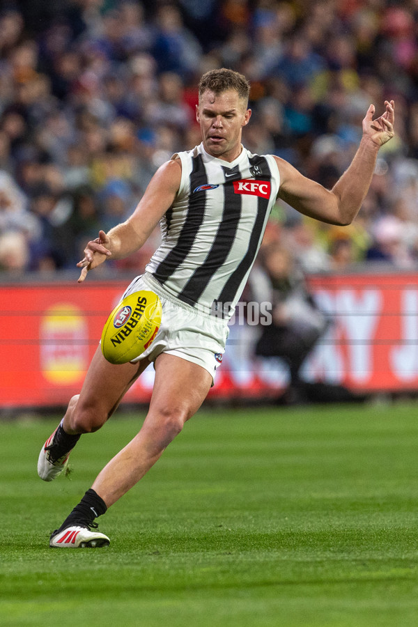 AFL 2025 Round 23 - Adelaide v Collingwood - A-61455416
