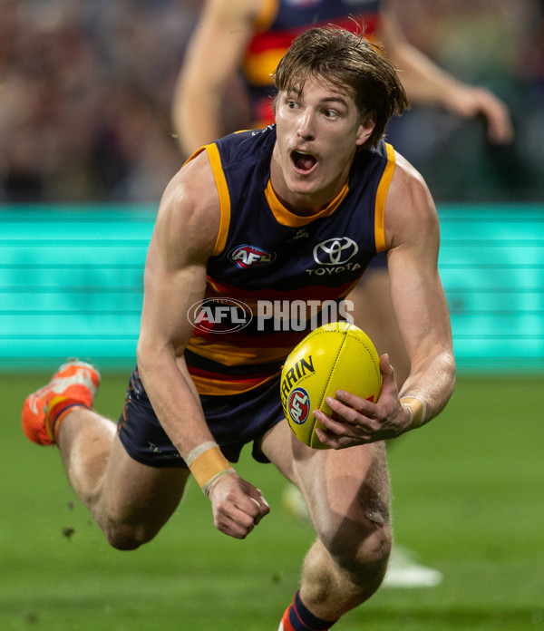AFL 2025 Round 23 - Adelaide v Collingwood - A-61455421